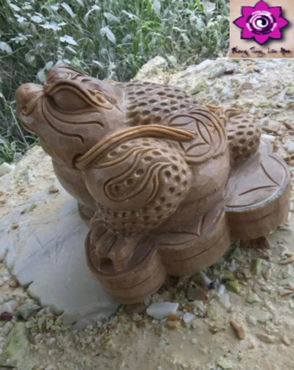 Cóc trấn môn trong phong thuỷ