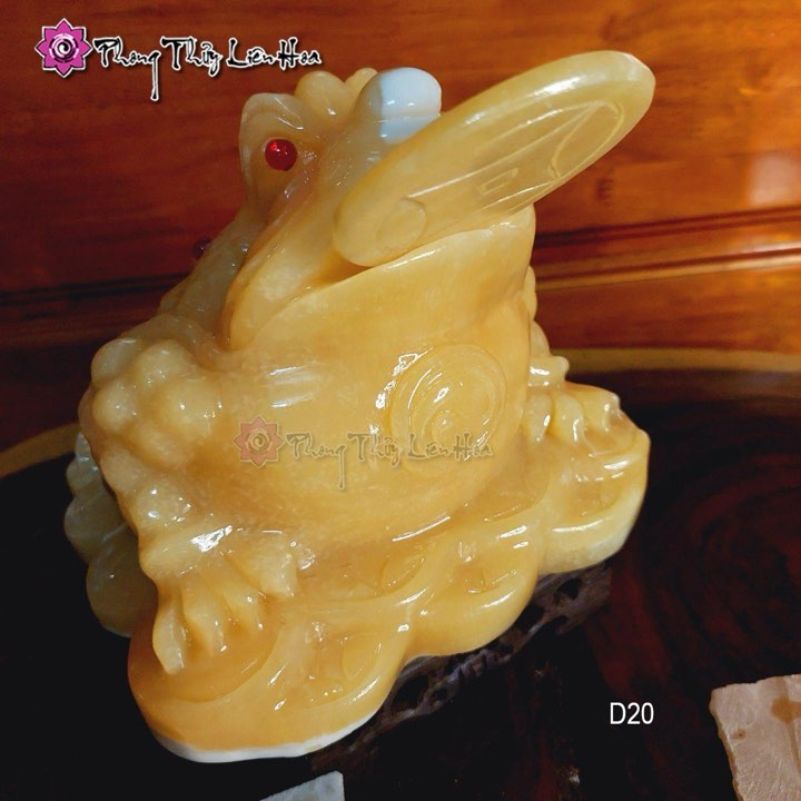 Ông Cóc ngọc hoàng long