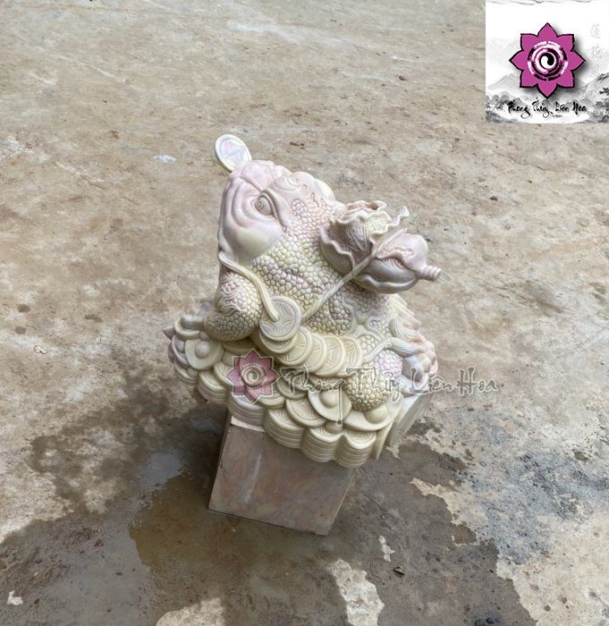 Ông cóc cõng củ cải — ảnh 1