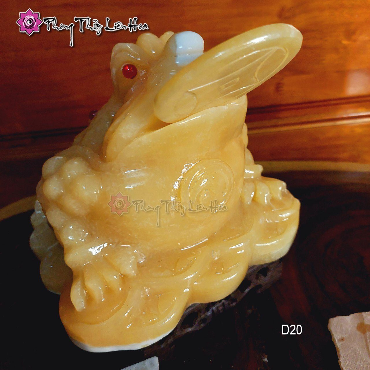 Ông Cóc ngọc hoàng long — ảnh 1