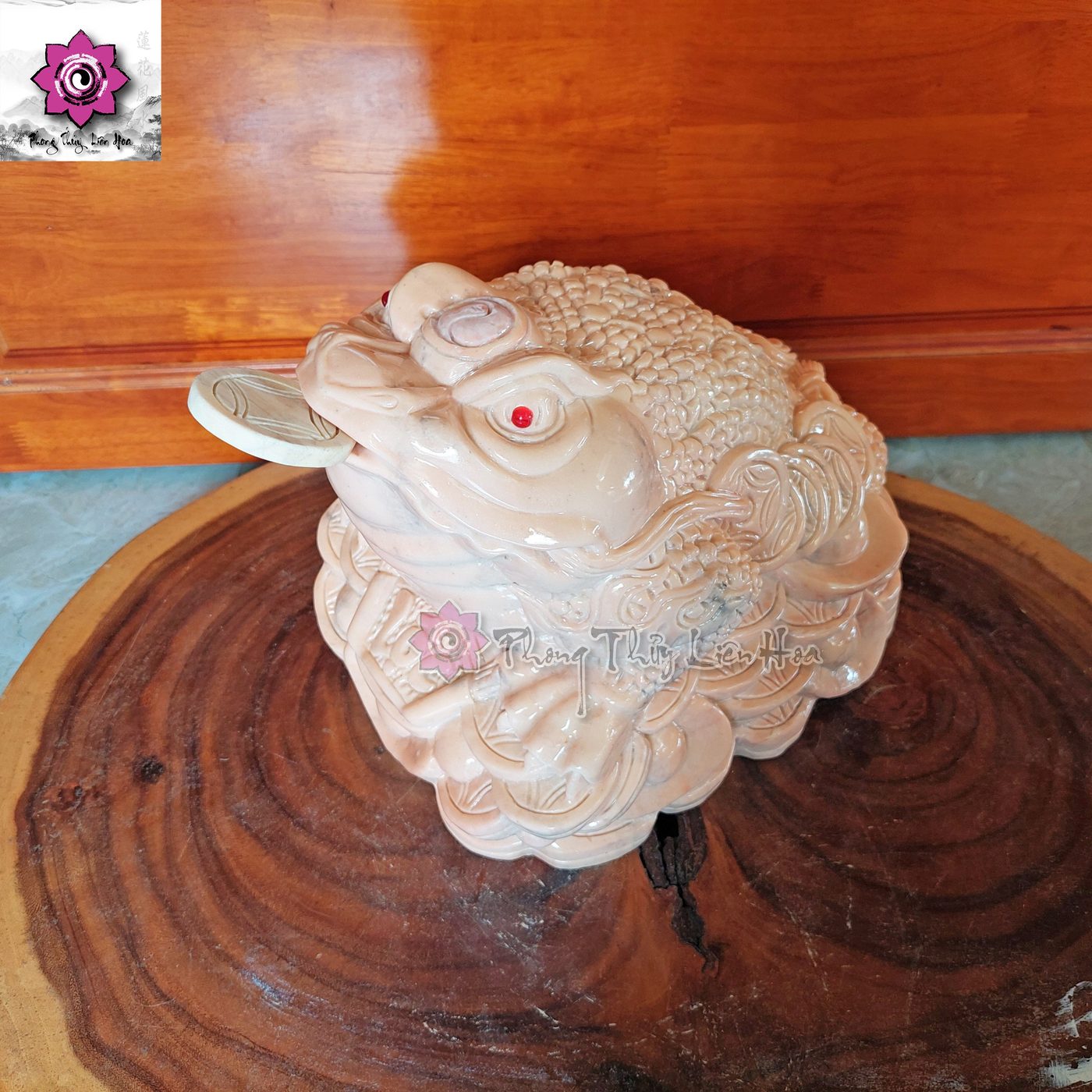 Ông Cóc Đại Tướng Quân — ảnh 1