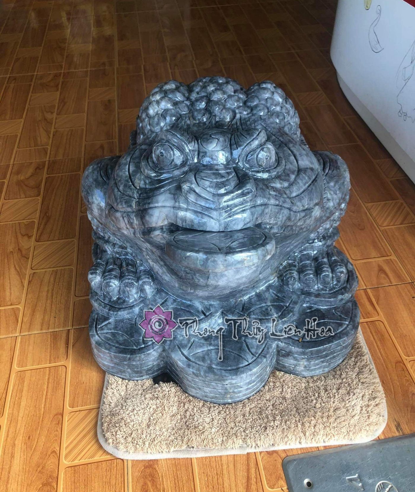 Ông Cóc khổng lồ
