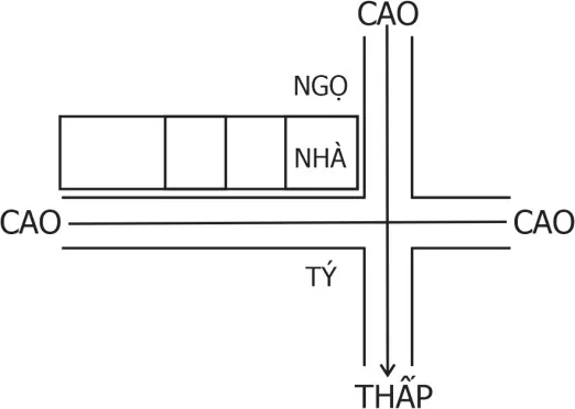 Hình 211