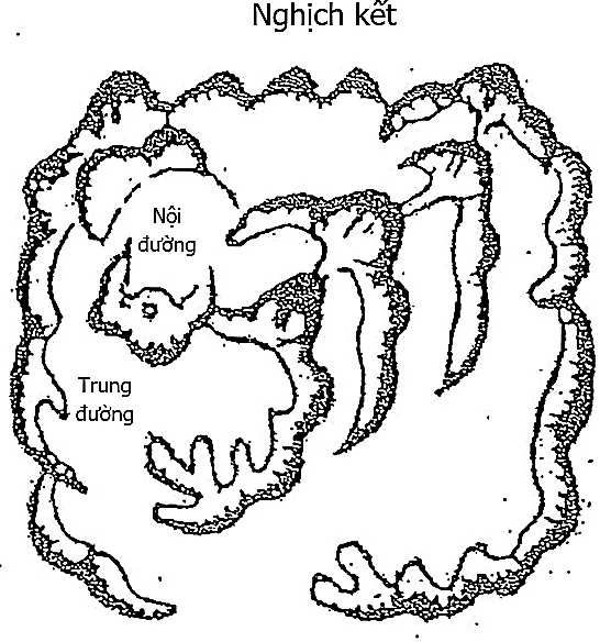 Hình 261