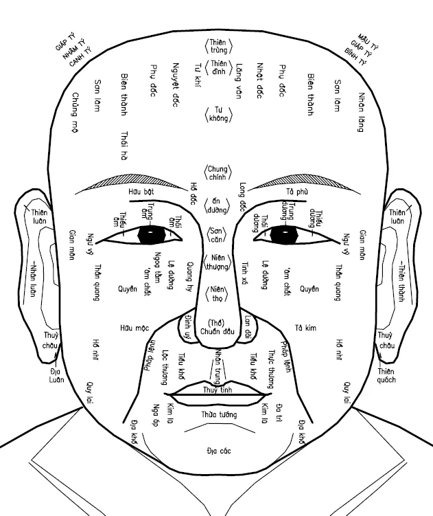 Sơ đồ định vị các bộ vị trên khuôn mặt