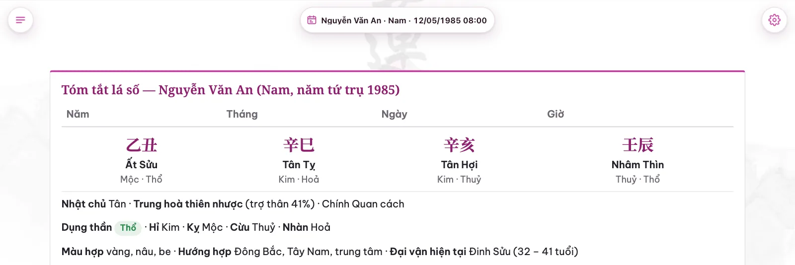 Tóm tắt lá số: tứ trụ, nhật chủ, vượng suy, cách cục, dụng thần, hỉ kỵ, màu hợp, hướng hợp, đại vận hiện tại