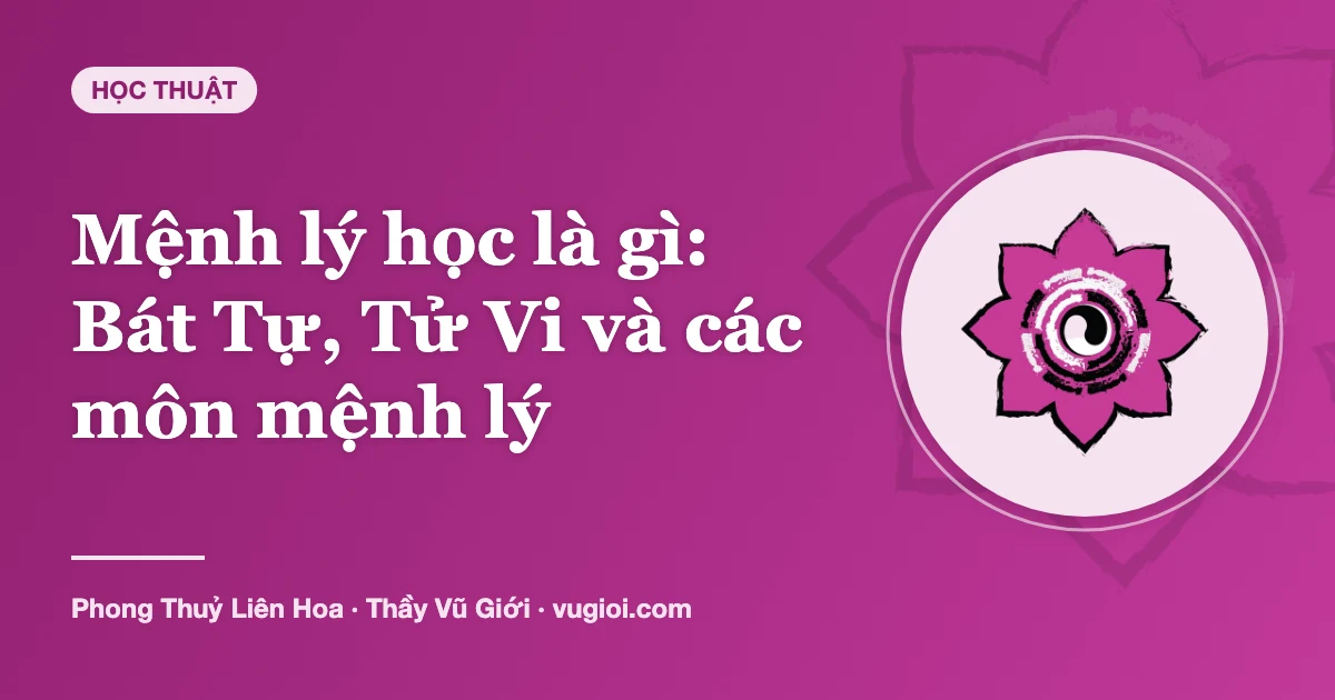 Minh hoạ Mệnh lý học là gì: Bát Tự, Tử Vi và các môn mệnh lý