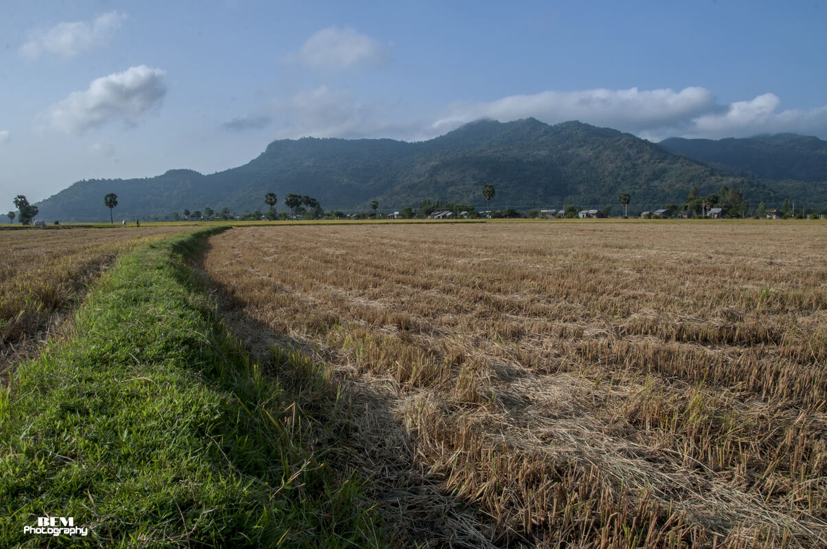 Ảnh minh họa Núi Cấm — Thất Sơn, An Giang