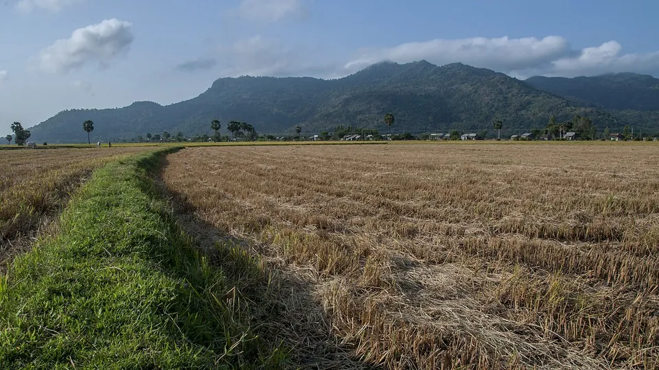 Ảnh đại diện Núi Cấm, An Giang