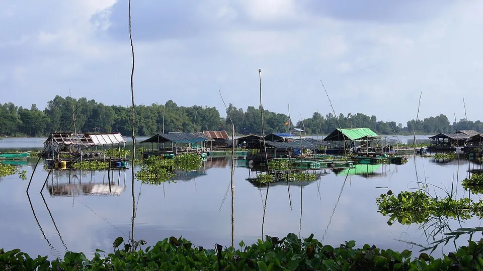 Ảnh đại diện Búng Bình Thiên, An Giang