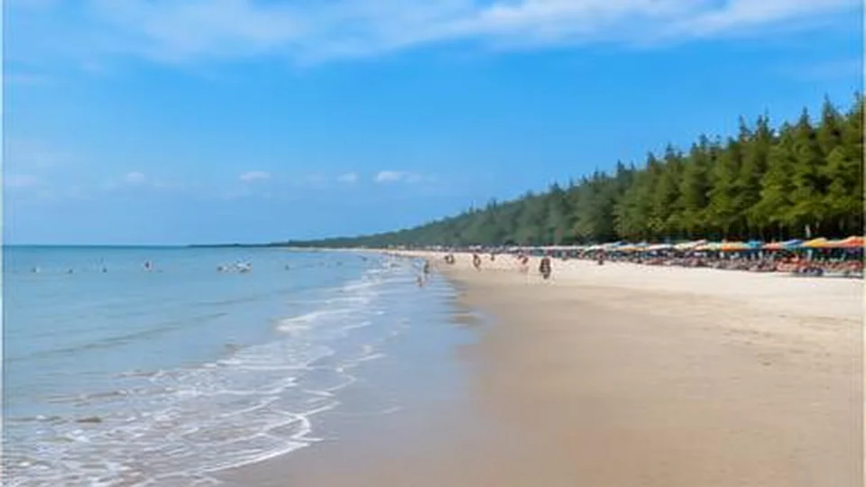Ảnh đại diện Biển Nhà Mát, Cà Mau