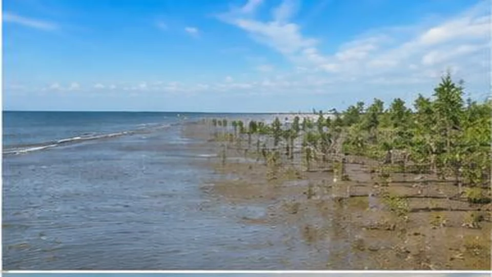 Ảnh đại diện Biển Tân Thành, Đồng Tháp