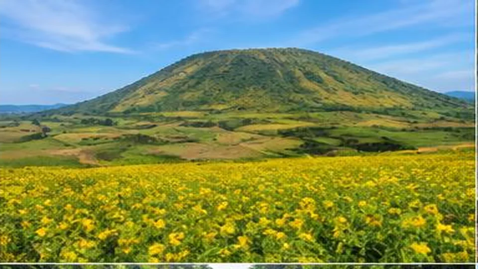 Ảnh đại diện Núi lửa Chư Đăng Ya, Gia Lai