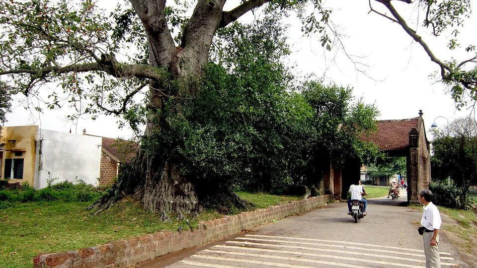 Ảnh đại diện Làng cổ Đường Lâm, Hà Nội