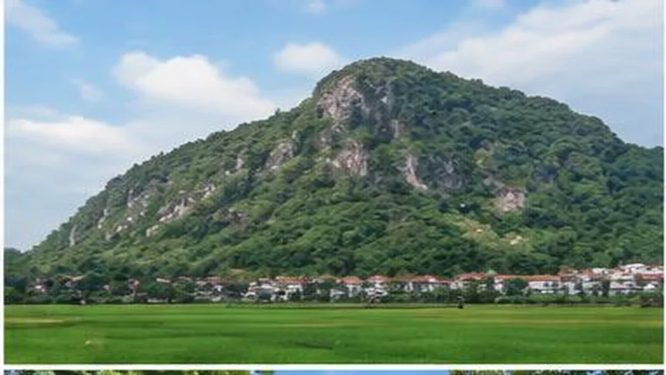 Ảnh đại diện Núi Voi, Hải Phòng