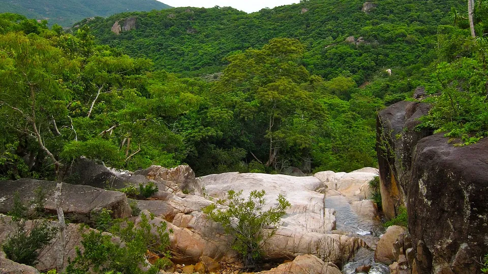 Ảnh đại diện Vườn quốc gia Núi Chúa, Khánh Hòa