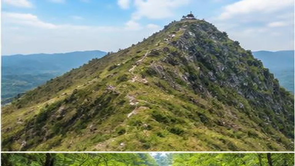 Ảnh đại diện Núi Phai Vệ, Lạng Sơn