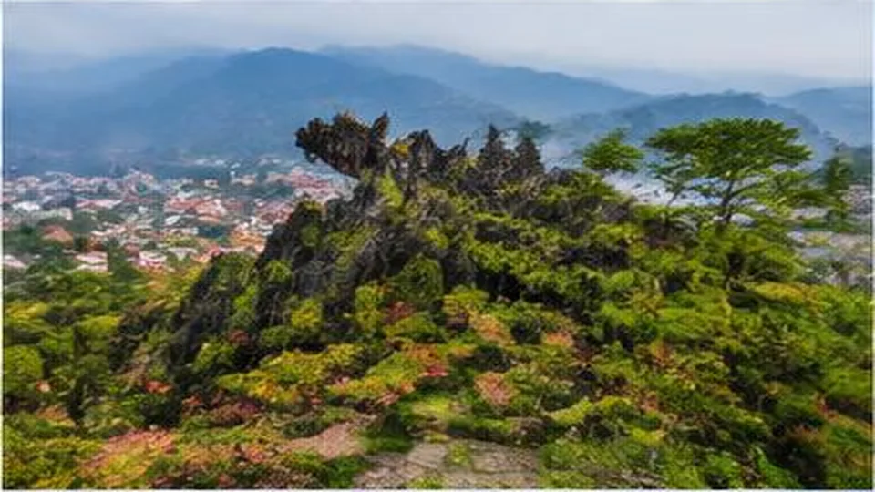 Ảnh đại diện Núi Hàm Rồng, Lào Cai