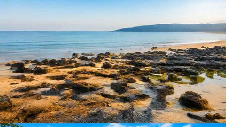 Ảnh đại diện Bãi biển Sa Huỳnh, Quảng Ngãi