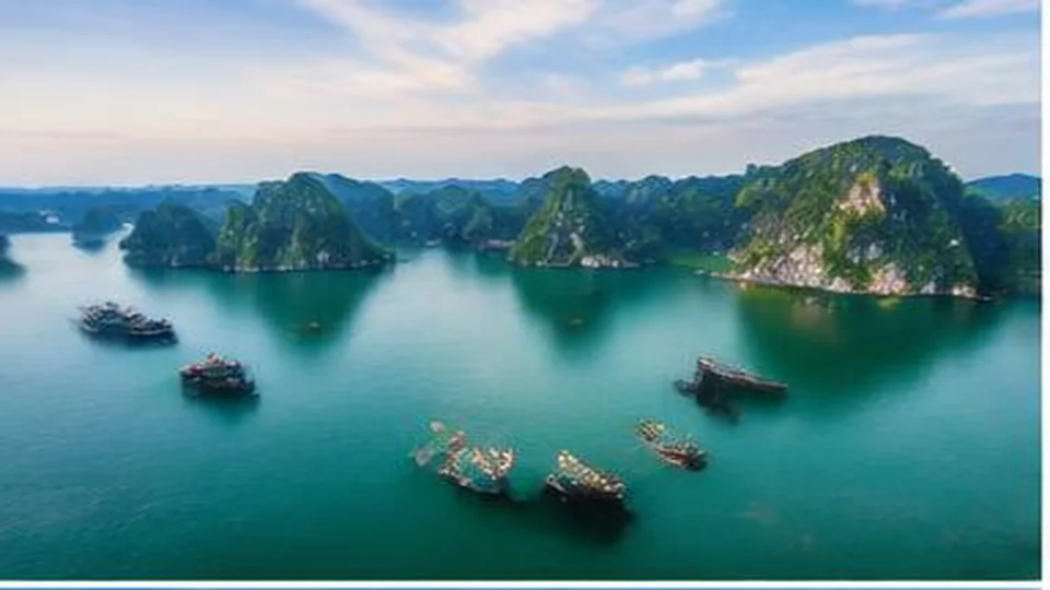 Ảnh đại diện Vịnh Bái Tử Long, Quảng Ninh