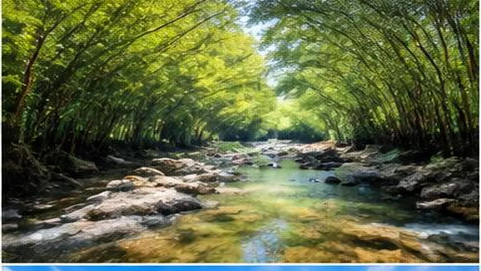 Ảnh đại diện Suối Trúc, Tây Ninh