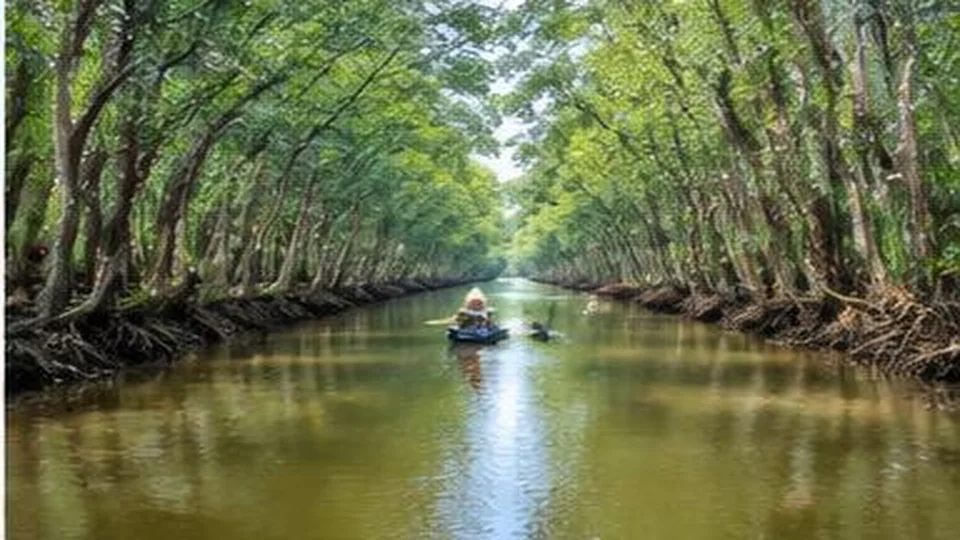 Ảnh đại diện Rừng Chàng Riệc, Tây Ninh