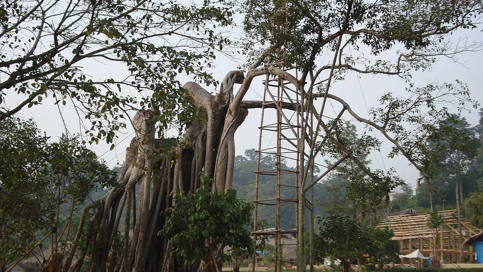 Ảnh đại diện Khu di tích Tân Trào, Tuyên Quang
