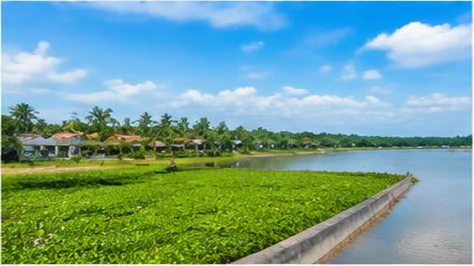 Ảnh đại diện Vườn trái cây Bình Hòa Phước, Vĩnh Long