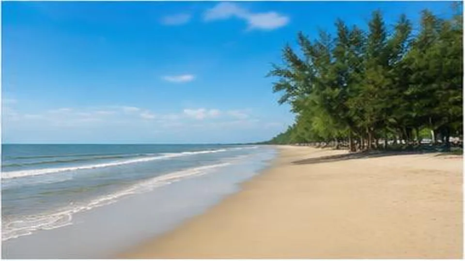 Ảnh đại diện Biển Ba Động, Vĩnh Long