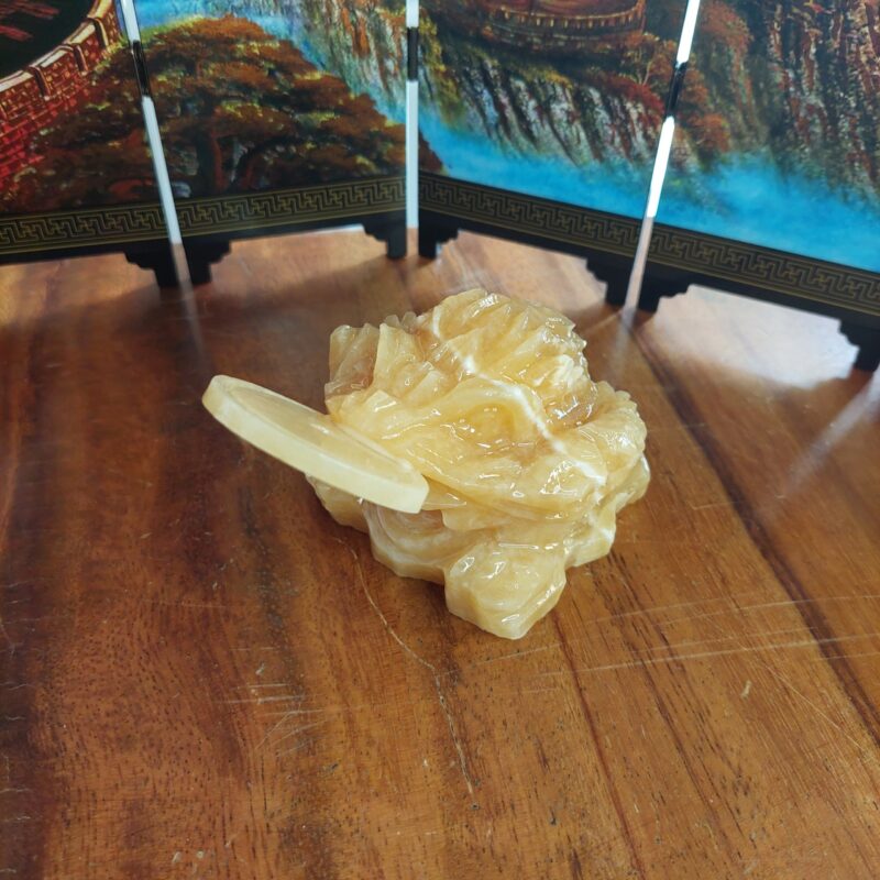 Phong Thủy Sư Vũ Giới