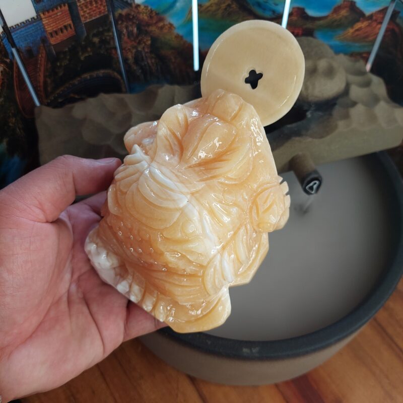 Phong Thủy Sư Vũ Giới