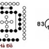 Hiểu Sai Về Dịch! Sự Nguy Hiểm Của Học Thuật Á Đông